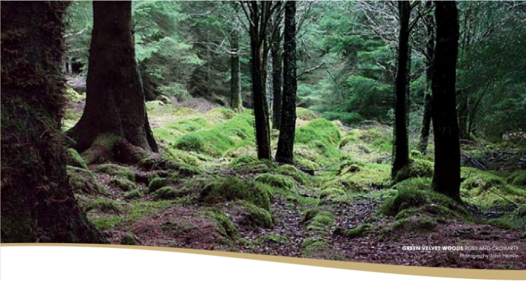 a-selection-of-vegetarian-delights-header