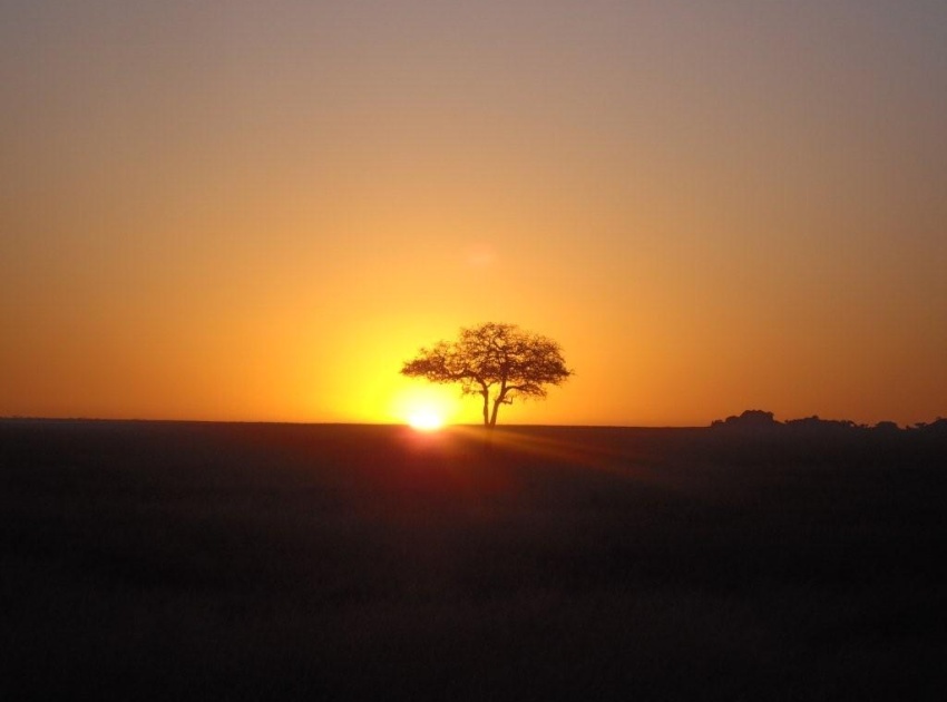 serengeti_sunrise_850