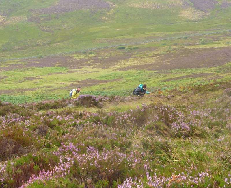 stahly_schiehallion_lower-slopes_800